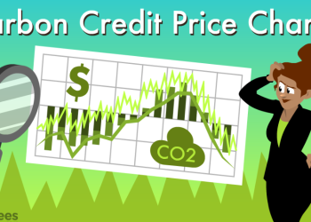 carbon credit pricing