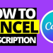 n you have subscribed to canva