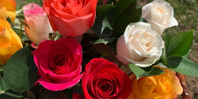 Flower delivery Chicago ProFlowers