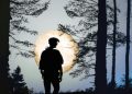 Trails Carolina "Investigation"